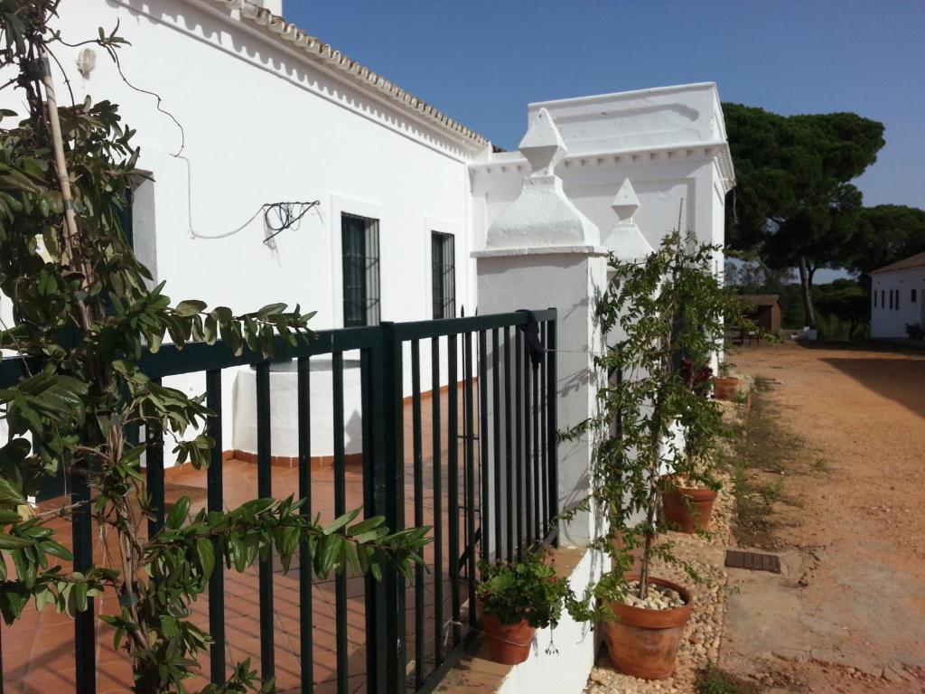 Albergue Rural Territorio del Gato El Rompido Exterior foto